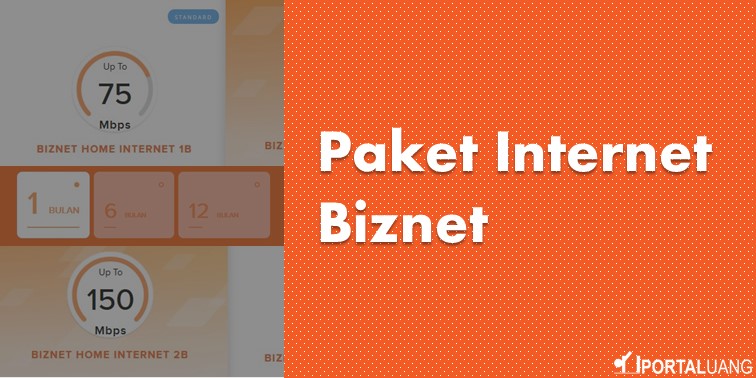 Harga biznet dedicated