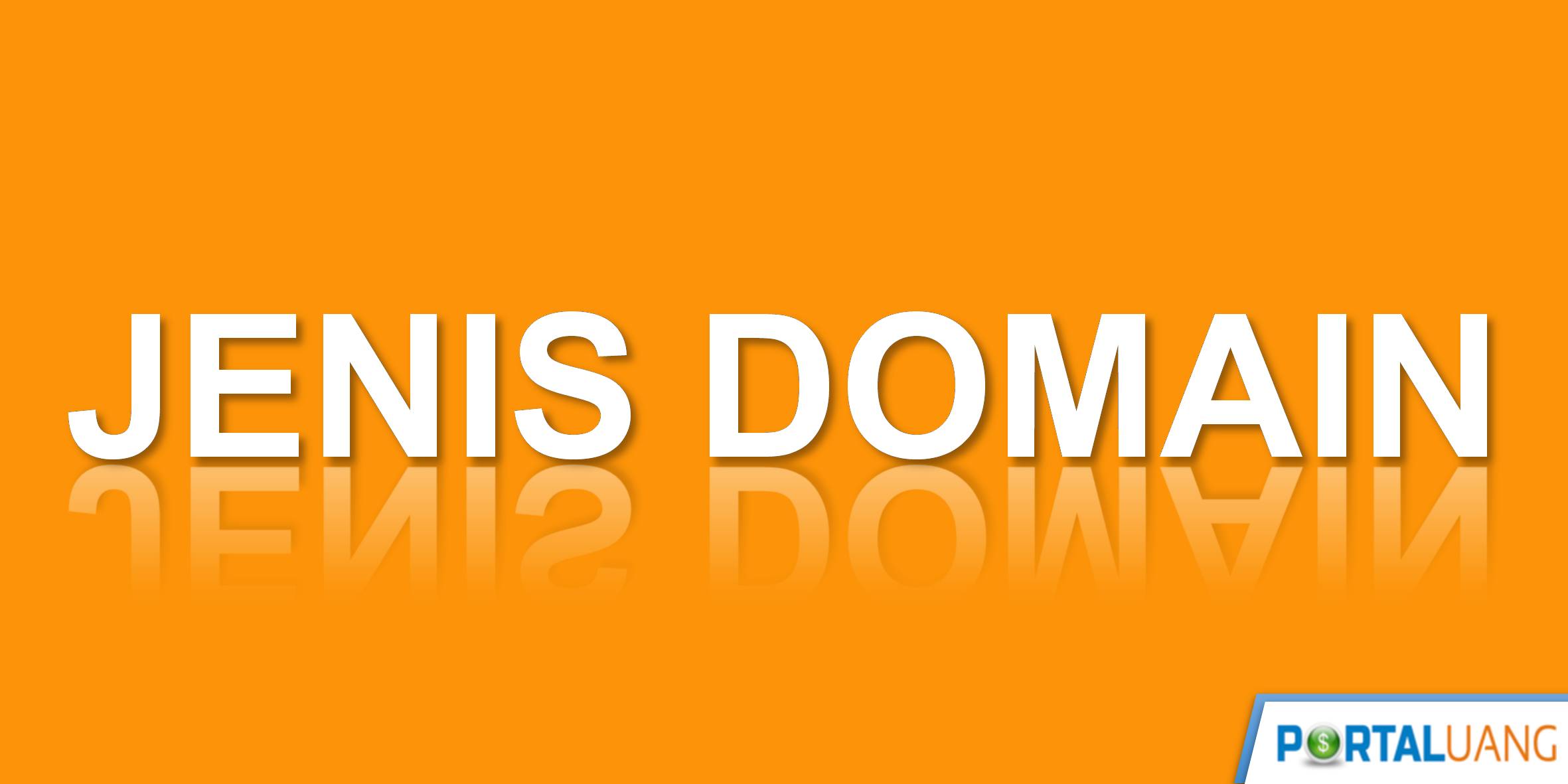 Jenis - Jenis Domain, Contoh dan Fungsinya