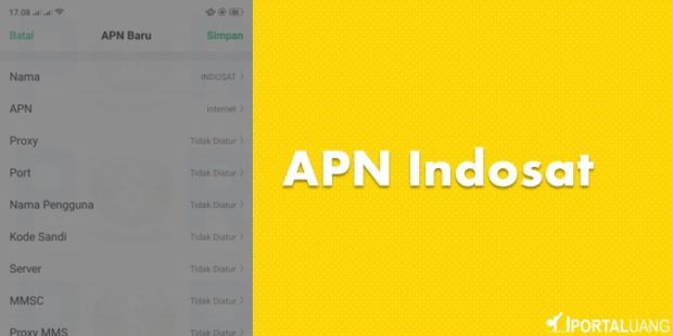 APN Indosat